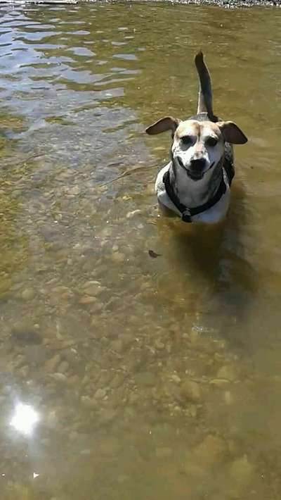 Immer lächeln !-Beitrag-Bild