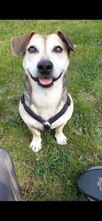 Immer lächeln !-Beitrag-Bild