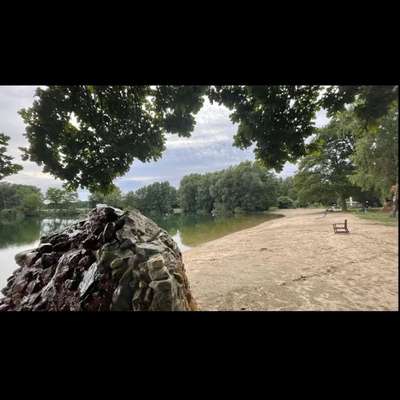 Weitere Unternehmen-Naturwaldbad

Eyller See-Bild