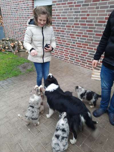 Welpen und Kinder-Beitrag-Bild