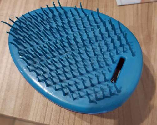 Verfilzung von Fell-Beitrag-Bild