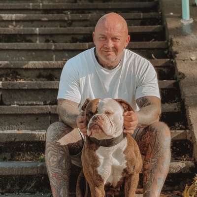 Medizinische Dienstleistungen-Aquatherapie Wet Dog-Bild