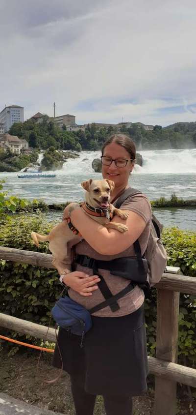 Dogorama Photo Challenge - Wasserfall-Beitrag-Bild