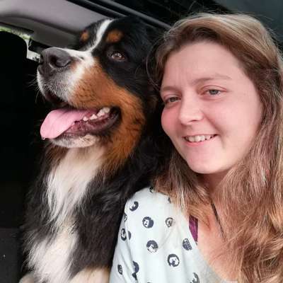 Hundetreffen-Spielen und toben-Profilbild