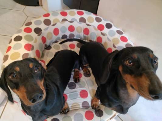 Fotochallenge 88-Beitrag-Bild