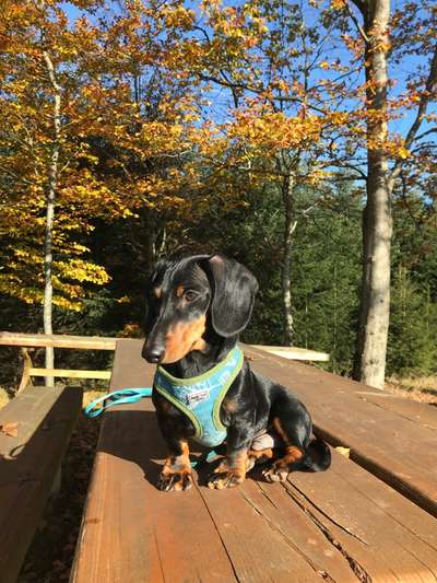 Foto Challenge Nr. 79-Beitrag-Bild