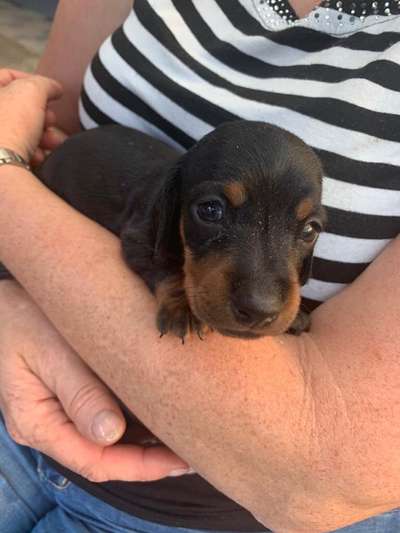 Sie werden so schnell erwachsen ...-Beitrag-Bild