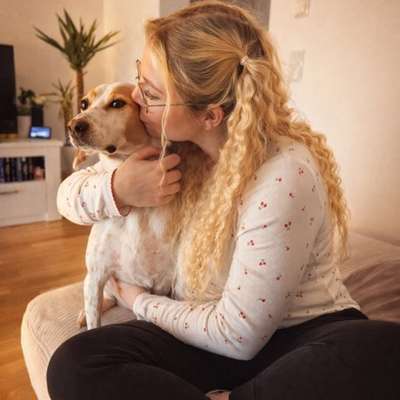 Hundetreffen-Hunde Buddy gesucht!-Bild