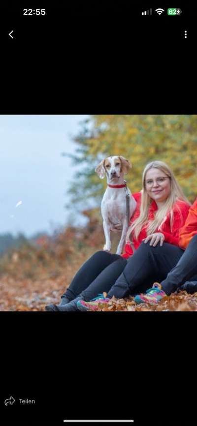 Hundetreffen-Ausgiebige Gassi Runden 🙌🏻-Bild