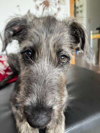 Lieblingsbild :D-Beitrag-Bild