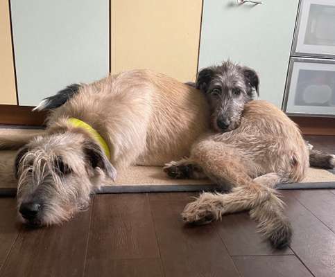 Lieblingsbild :D-Beitrag-Bild