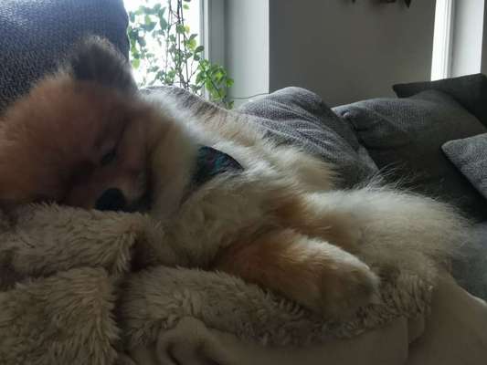 Die unbequemsten und lustigsten Schlafpositionen-Beitrag-Bild