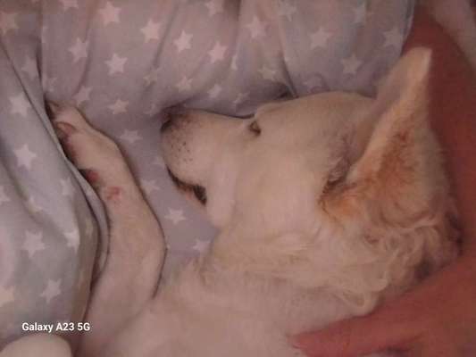 Gemeinsames Kuscheln im Bett!-Beitrag-Bild