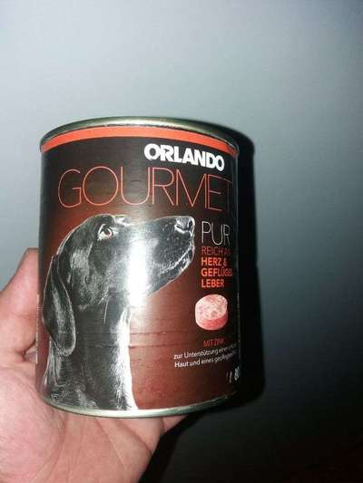 Labbi will kein Nassfutter🤤🤤-Beitrag-Bild