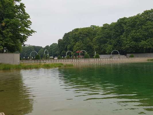 Die wunderschöne Welt mit Hund.-Beitrag-Bild