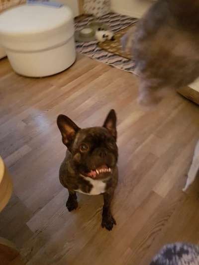 Lieblingsbild :D-Beitrag-Bild