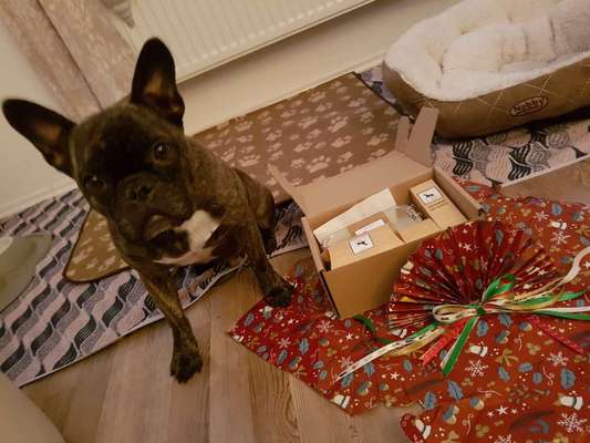 Video Challenge Nr. 12
Ein glücklicher Hund-Beitrag-Bild