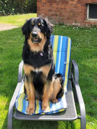 Sie werden so schnell groß!-Beitrag-Bild