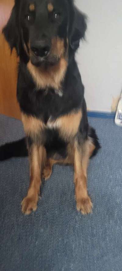 Doppelgänger gesucht !-Beitrag-Bild