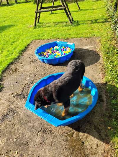 Fotochallenge Nr. 94 It's summer time-Beitrag-Bild