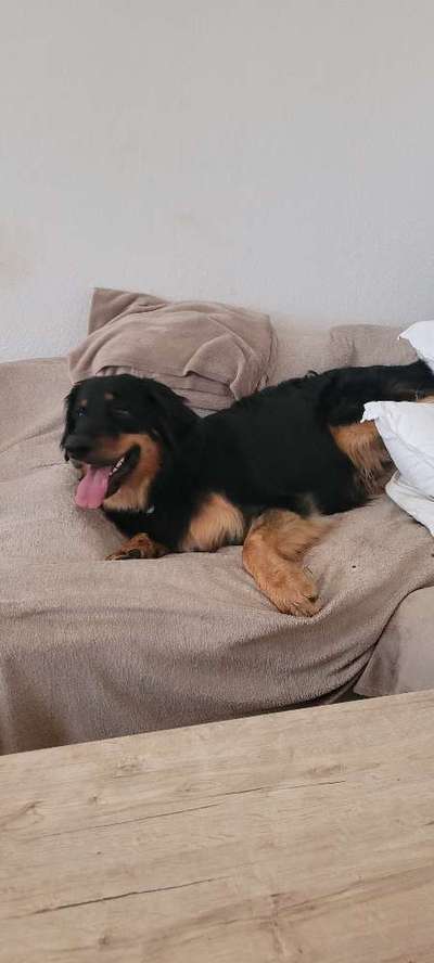 Foto-Challenge Nr. 90: Lebensfreude-Beitrag-Bild