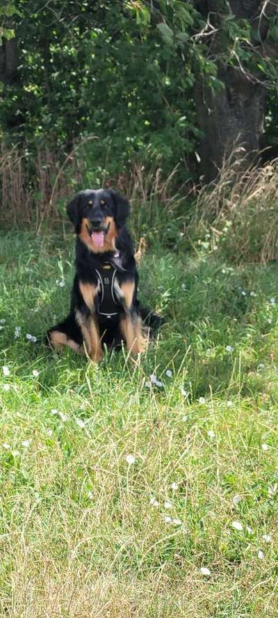 Ist das ein...?-Beitrag-Bild