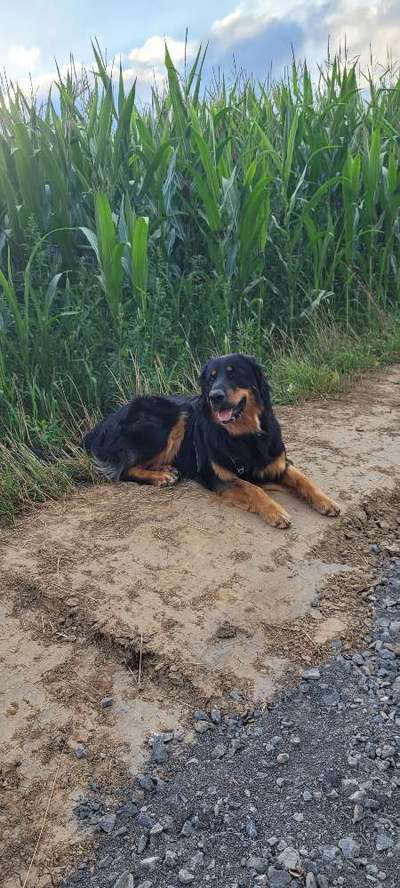 Doppelgänger gesucht !-Beitrag-Bild