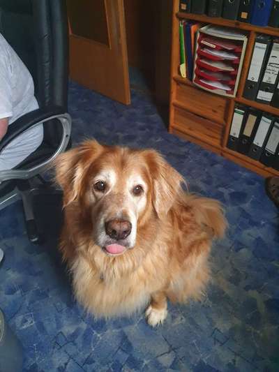 Ist das ein...?-Beitrag-Bild