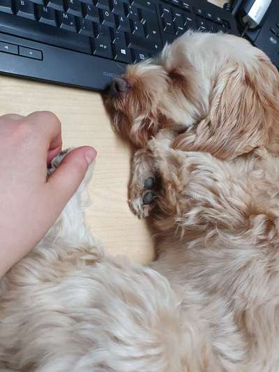 Zeigt her...-Beitrag-Bild