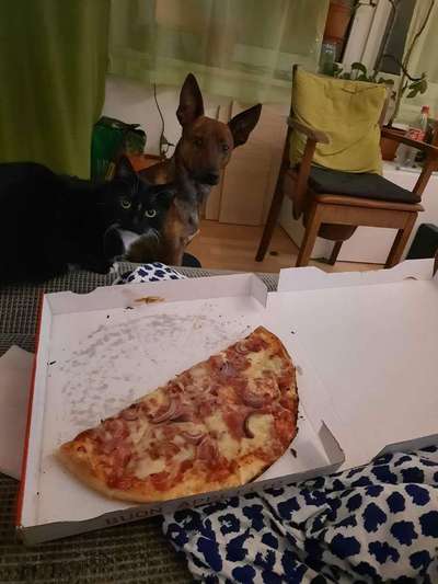 147. Foto Challenge: Bettelblick-Beitrag-Bild