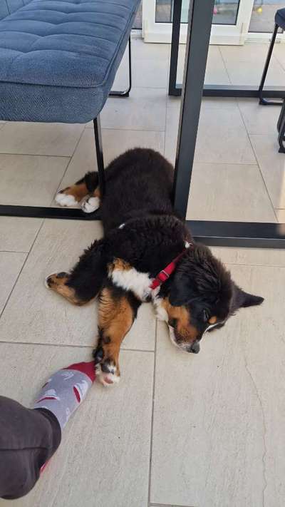 Foto Challenge Nr. 134-Beitrag-Bild