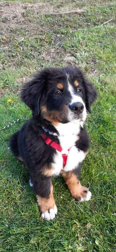 Lieblings Fotos-Beitrag-Bild