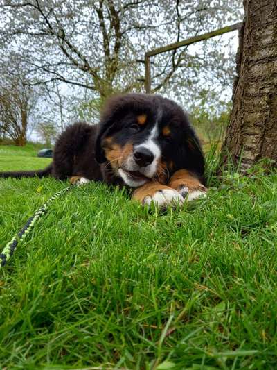 Lieblings Fotos-Beitrag-Bild