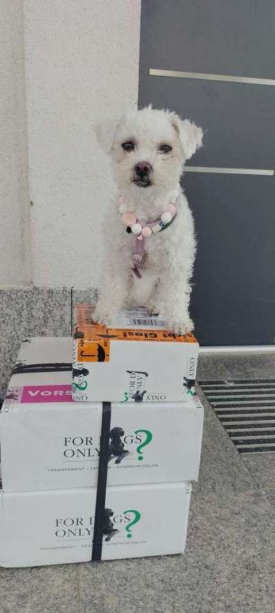 Nichtverdauliche Bestandteile zu hoch.-Beitrag-Bild