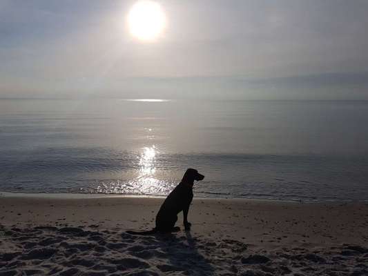 Fotochallenge 37- Sommerfeeling-Beitrag-Bild