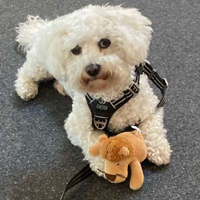 Claudia's Profilbild