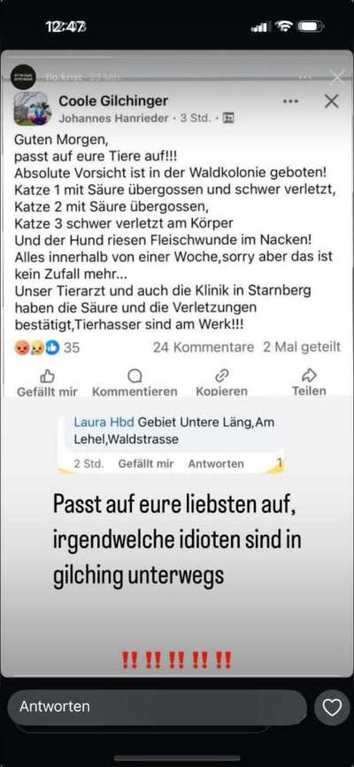 Giftköder-Aufpassen! Tierhasser in Gilching!!!-Bild