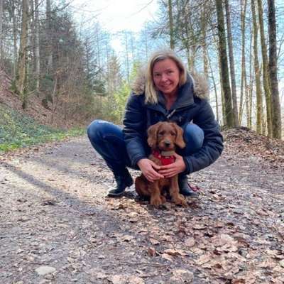 Hundetreffen-Spaziergang und ruhige Hundebegegnungen