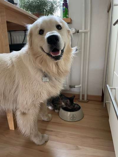 Das beste grinsefoto-Beitrag-Bild