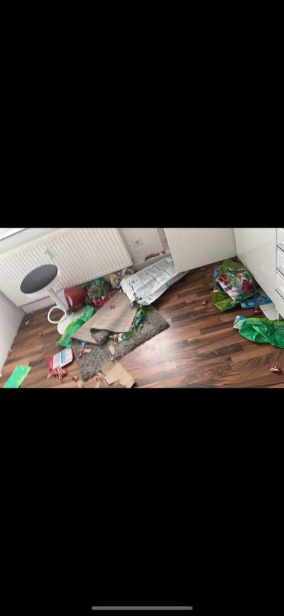 Zeig mir, dass du mit einem hund zusammenlebst....-Beitrag-Bild