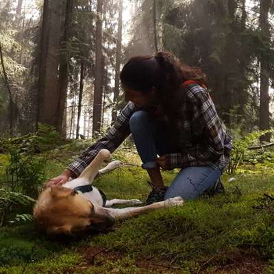 Hundetreffen-Eine schöne Waldrunde :)-Profilbild