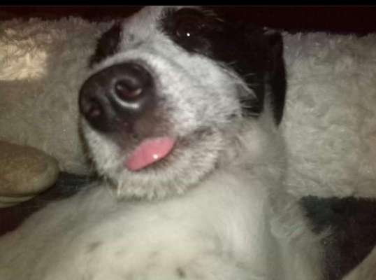 30. Farben Challenge - Pink-Beitrag-Bild