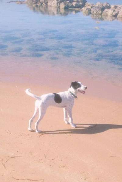 17. Farben Foto Challenge: Pastellfarben-Beitrag-Bild