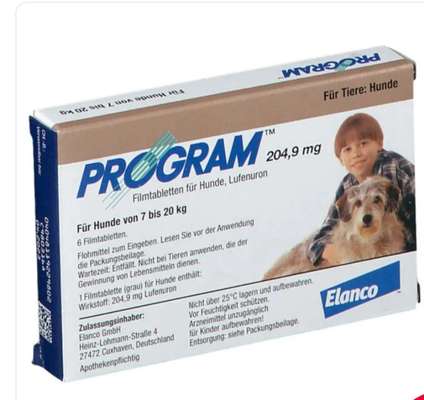 Flöhe....HILFE 🙄-Beitrag-Bild