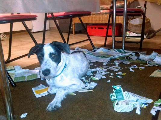 FOTO CHALLENGE Thema ,,durchdrehen"-Beitrag-Bild