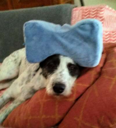 10. Farben Foto-Challenge ---- Blau-Beitrag-Bild