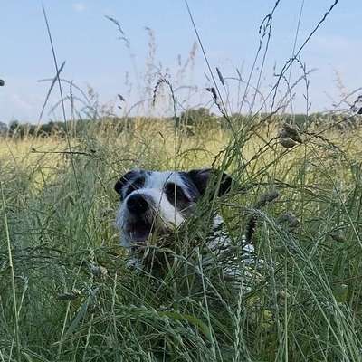 Birgit Federico & Luna's Profilbild