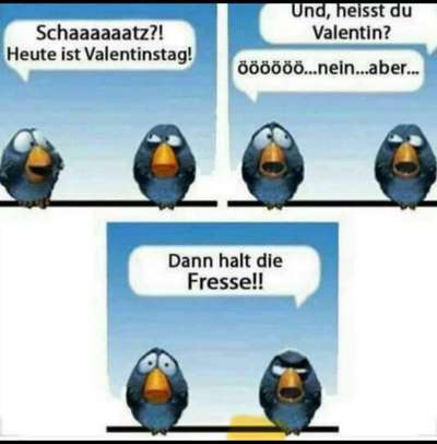 Hunde Memes-Beitrag-Bild