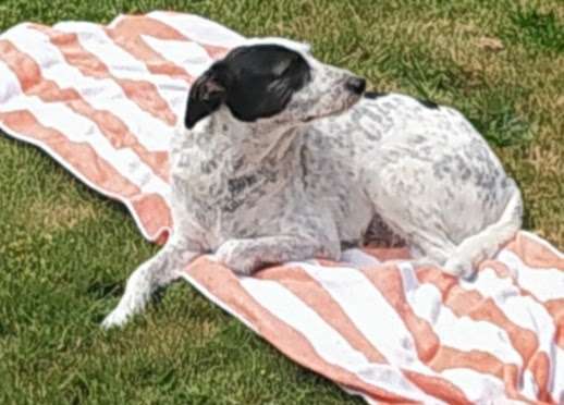 32. Farben Challenge  ** ( BUNTE ) STREIFEN **-Beitrag-Bild