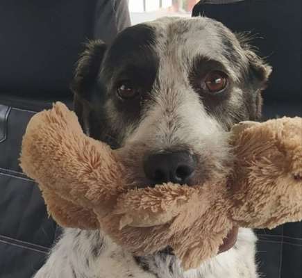 65. Handy Foto Challange                     "Ich kann nicht ohne..."-Beitrag-Bild